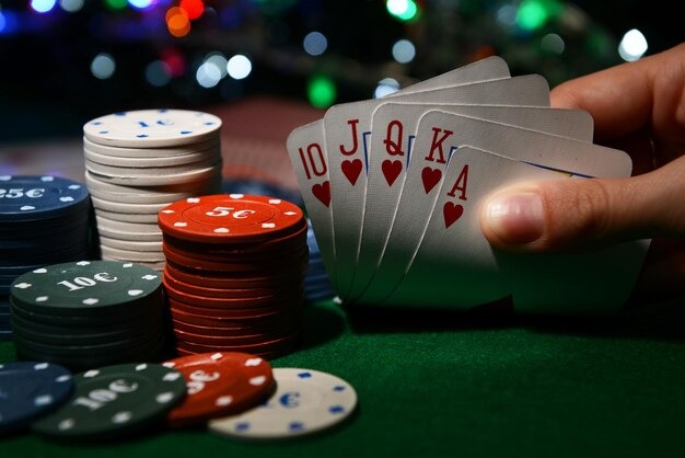 255bet লাইভ ক্যাসিনো স্টুডিও এবং গেমিং প্ল্যাটফর্ম